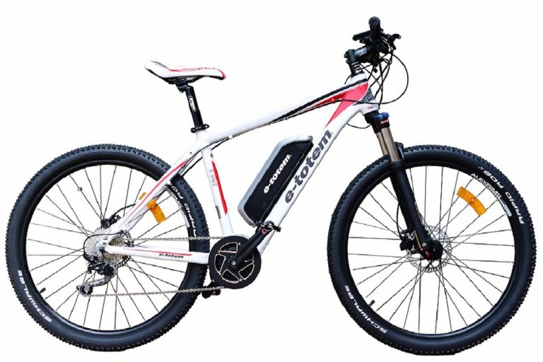 Mountain bike elettrica