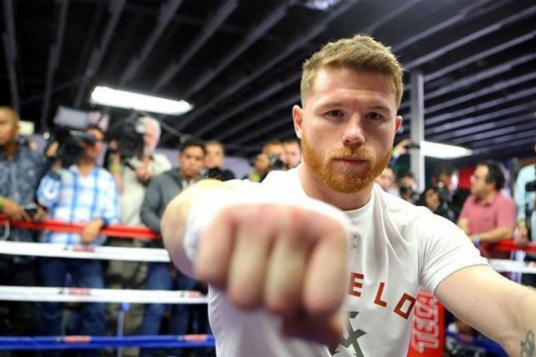 Carriera Canelo Alvarez