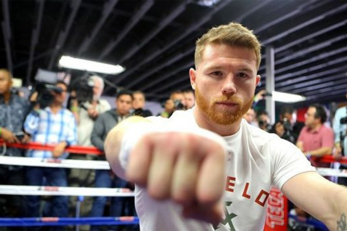 Carriera Canelo Alvarez