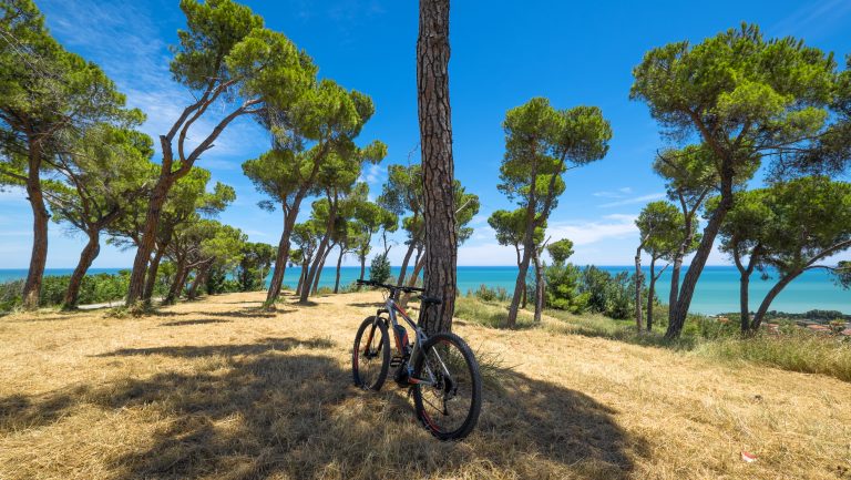 mtb pineto gianni alcini alta