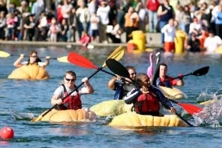 La regata delle zucche giganti: storia degli sport