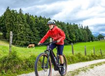 2 cambiobike magazine guida bici elettrica pedalata assistita 2