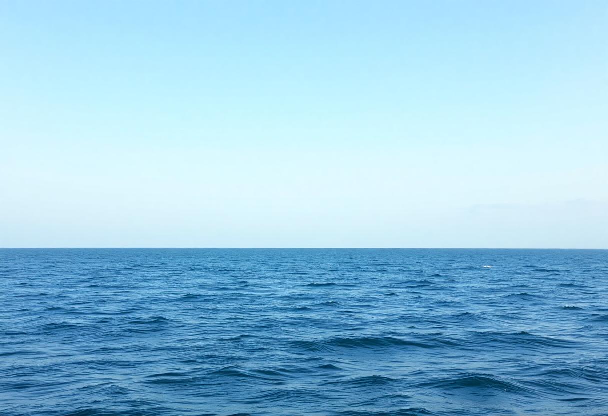 1216x832 09 12 45 23 893500817