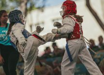 federazione italiana taekwondo 1