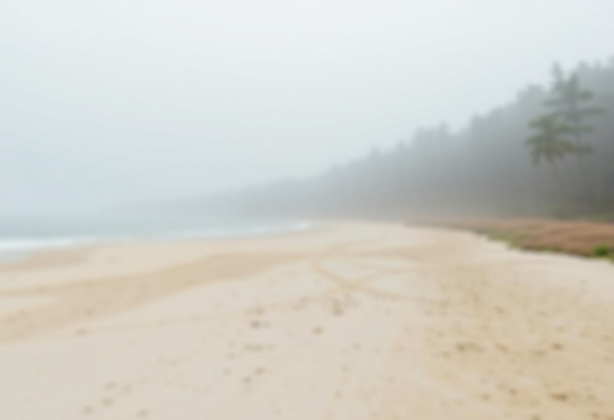 1216x832 22 16 30 15 495396728