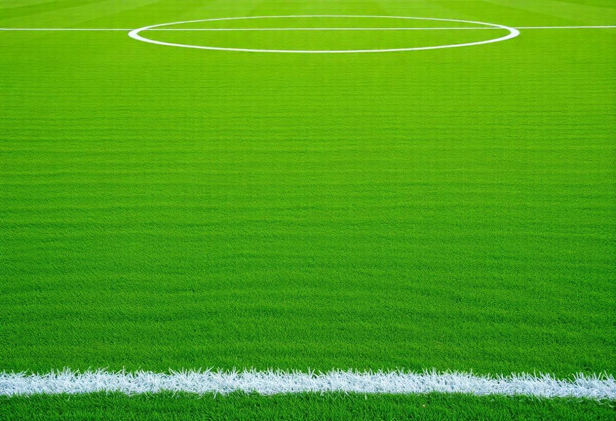 1216x832 12 22 30 25 771656839